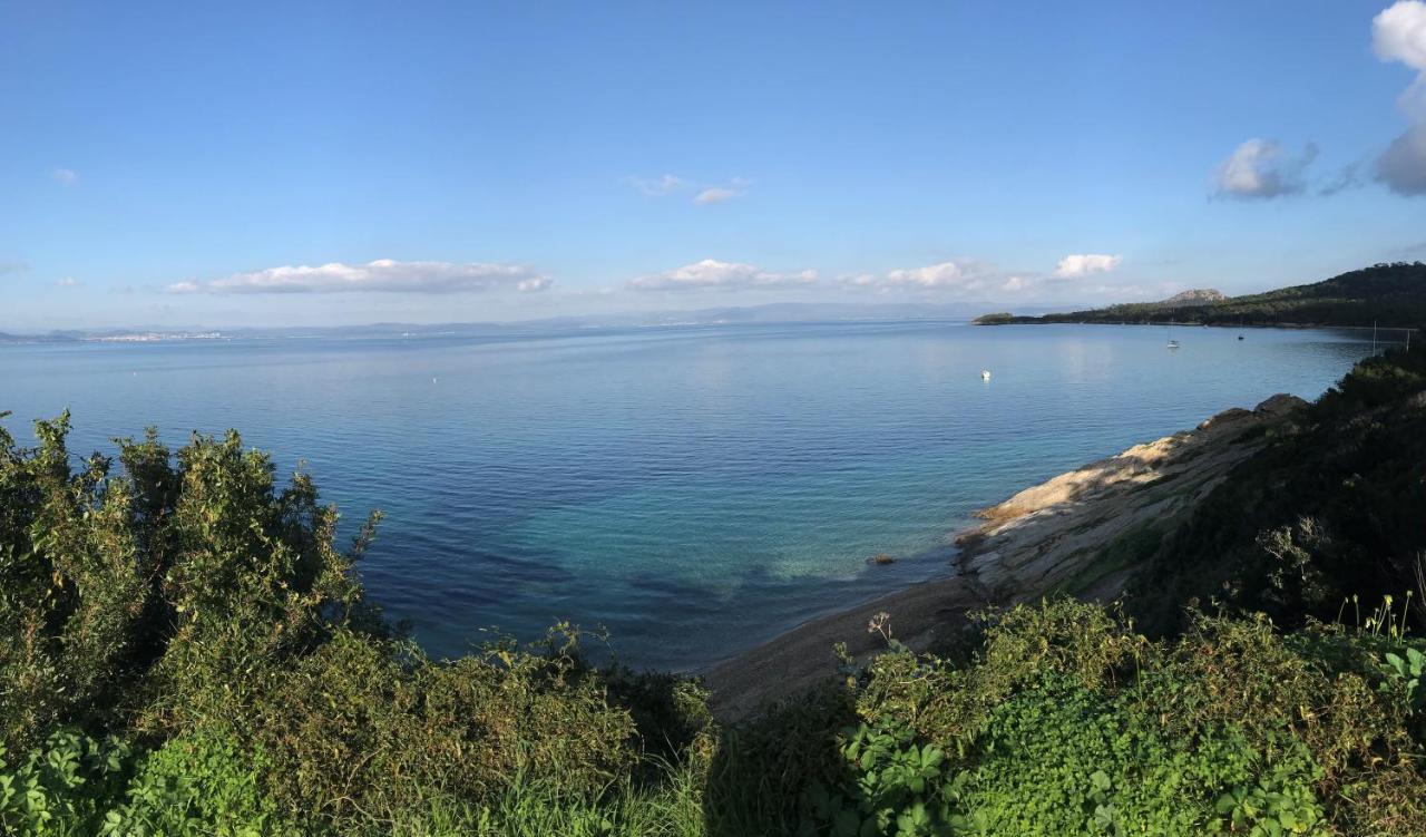 Hotel Almanarre Plage - Hotel Eco-Responsable Face A La Mer Hyères Zewnętrze zdjęcie